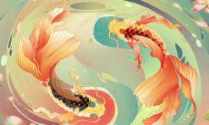 第二宫双鱼座（双鱼座落在第几宫）