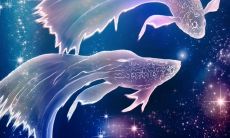 双鱼座交际能力是不是非常差（双鱼座的人为什么不爱说话）