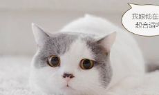 双鱼座男配射手星座女（和射手女最配的星座）