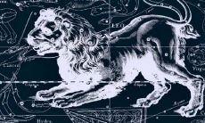 狮子座座性格男生（狮子座什么性格男生）