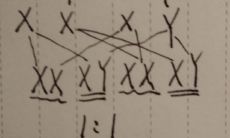 属龙的今年生女孩还是男孩（属龙生男生女清宫表）